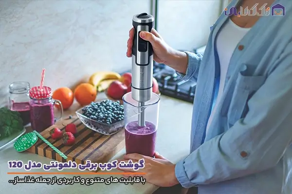 گوشت کوب غذاساز دلمونتی مدل DL120 با قابلیت چندکاره