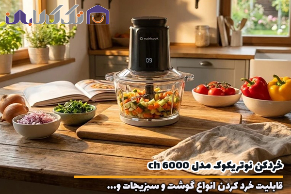 خردکن نوتریکوک مدل CH6000 مجهز به تنظیم سرعت